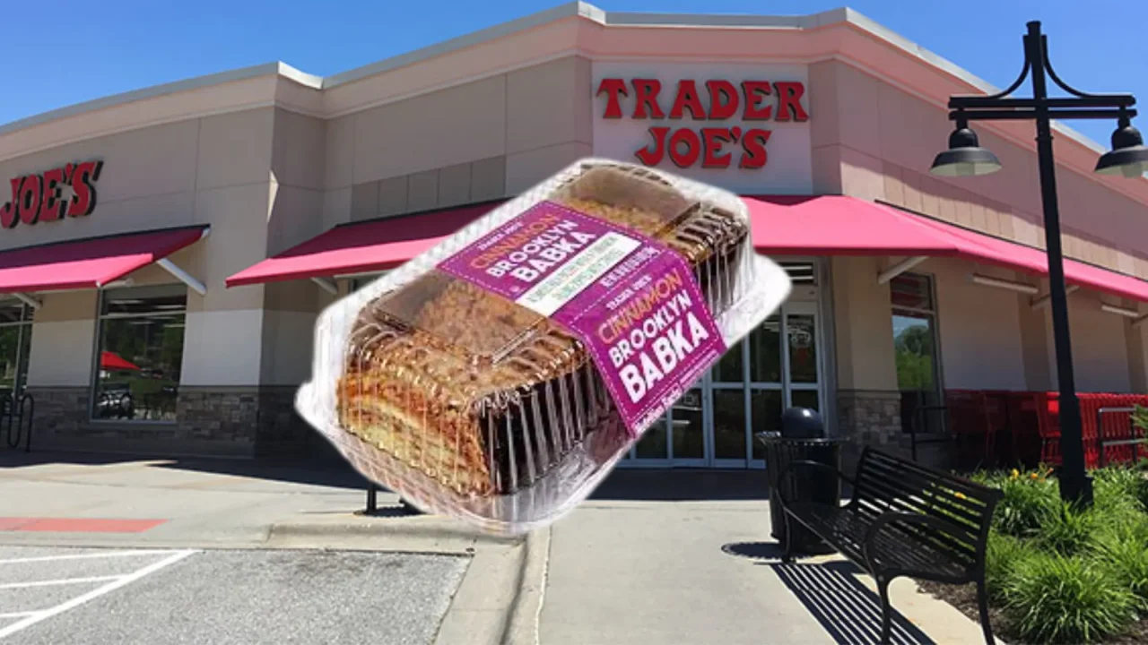 Trader Joe's Cinnamon Brooklyn Babka Bread