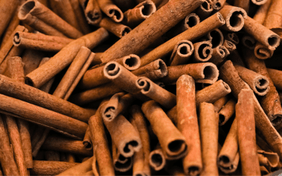 Exploring The Different Types of Cinnamon