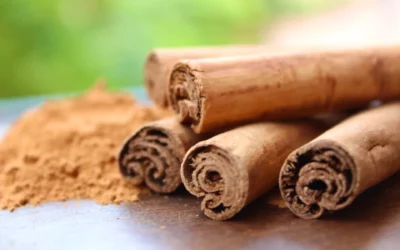 What Type of Cinnamon Is Likely Often Used in Cinnamon Rolls?